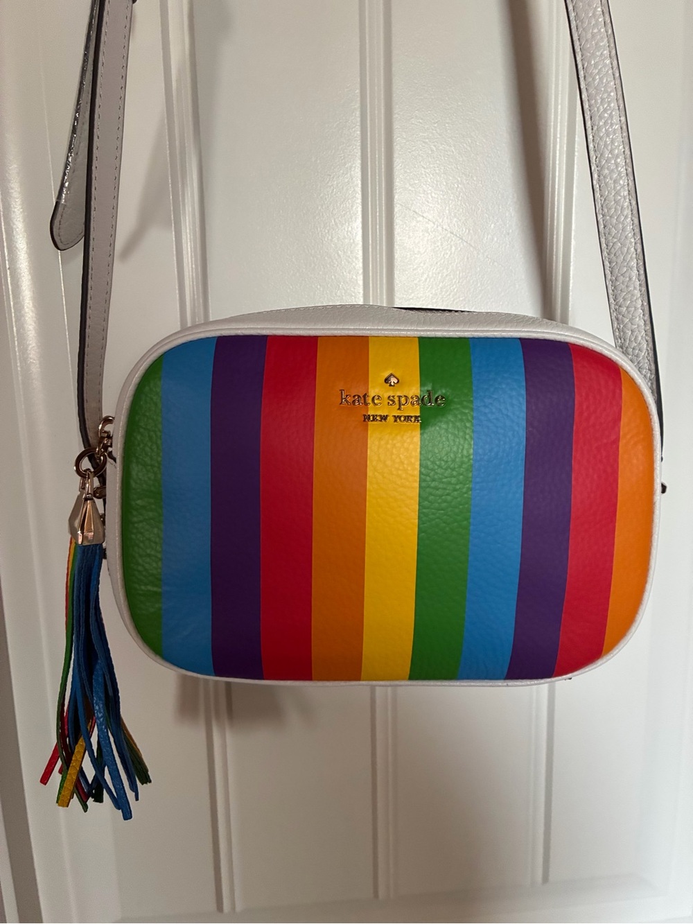 Kate Spade Kourtney Rainbow Stripe camera bag NWOT